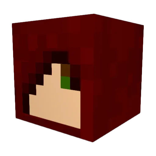 Ricksdetrix Minecraft avatar head, 3D render