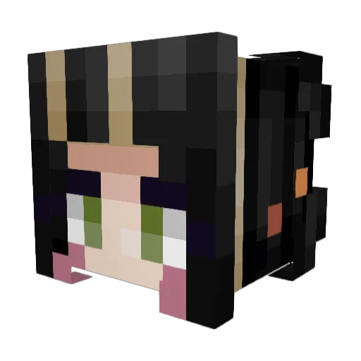 Minecraft-Avatar von Ricky0_: Kopf als 3D-Render