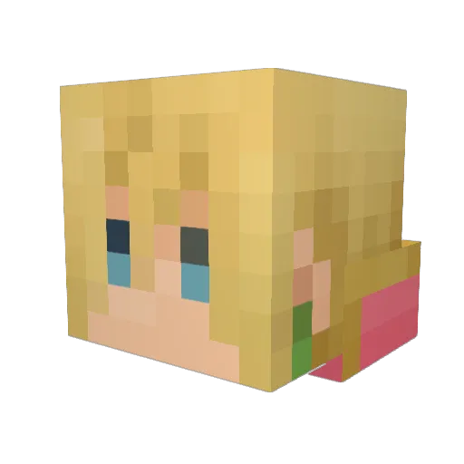 Ricky0x0 Minecraft avatar head, 3D render