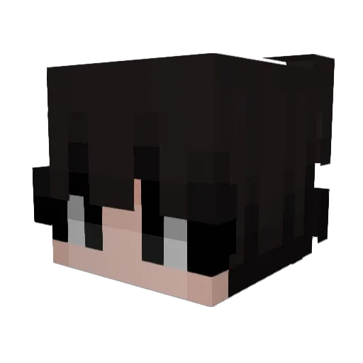 Ricky223311 Minecraft avatar head, 3D render