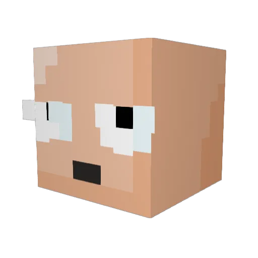 Ricky2333 Minecraft avatar head, 3D render