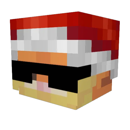 RickyIsBigFatL Minecraft avatar head, 3D render
