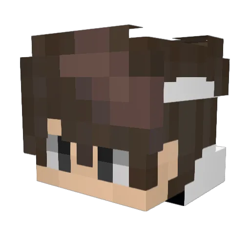 RickyIssues Minecraft avatar head, 3D render