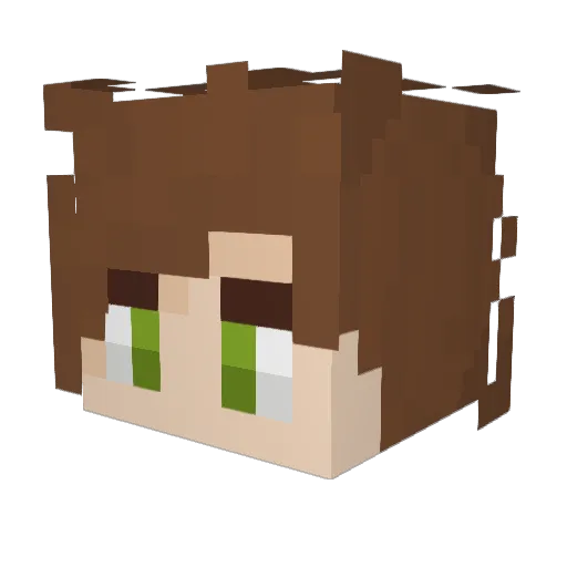 RickyJamaraz Minecraft avatar head, 3D render