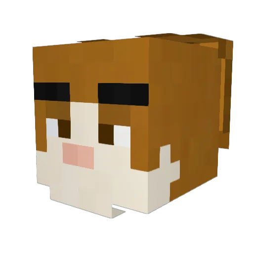 RickyRabbit95 Minecraft avatar head, 3D render