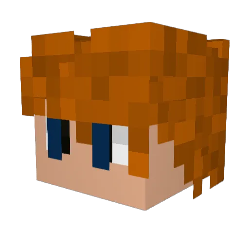 RickyShmee Minecraft avatar head, 3D render
