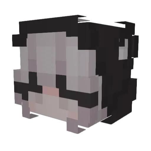 RickyWnomotion Minecraft avatar head, 3D render