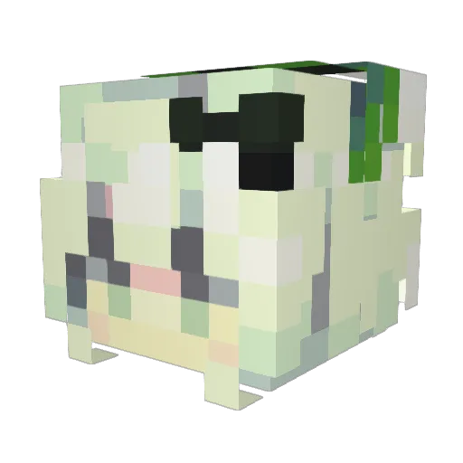 Ricky_2985 Minecraft avatar head, 3D render