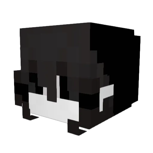 Ricky_Is_Meeeee Minecraft avatar head, 3D render