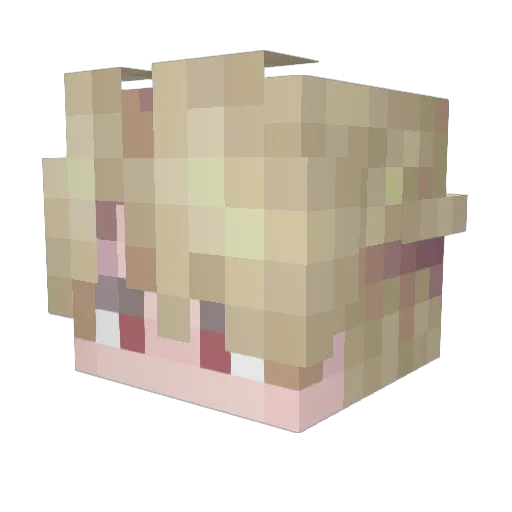 Ricky_Ri Minecraft avatar head, 3D render
