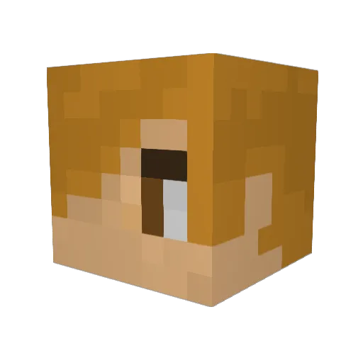 Rickydack Minecraft avatar head, 3D render