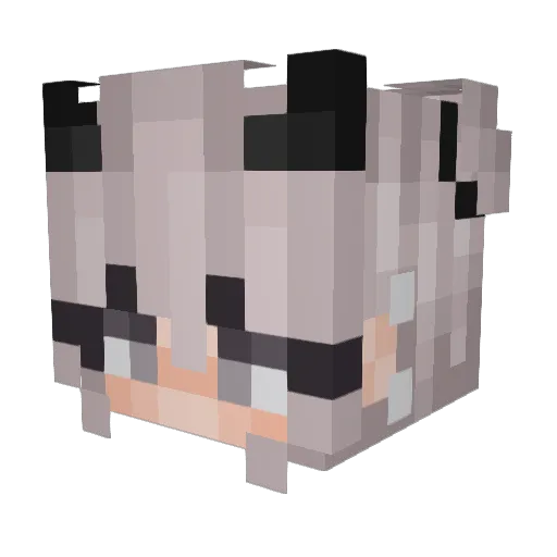 Rickylee Minecraft avatar head, 3D render