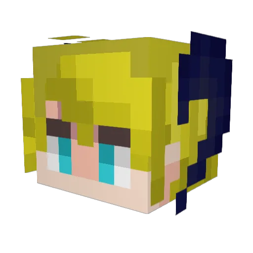 Rickyt2k7 Minecraft avatar head, 3D render