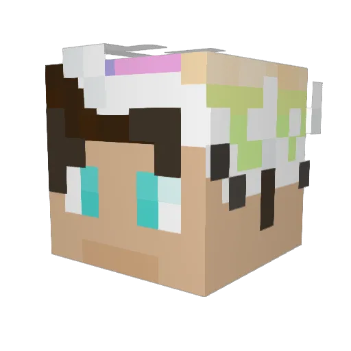 Ricmi__ Minecraft avatar head, 3D render