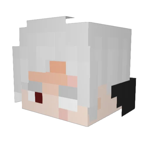 Rico304 Minecraft avatar head, 3D render