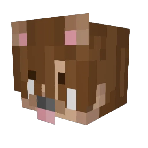 Rico6463 Minecraft avatar head, 3D render