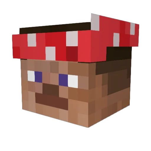 RicoDuhDon Minecraft avatar head, 3D render