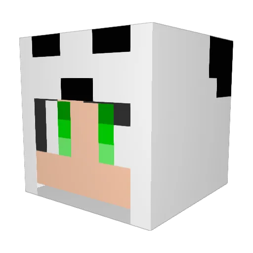 Rico_1116 Minecraft avatar head, 3D render