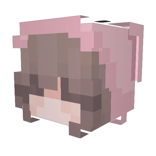 Ricoco55 Minecraft avatar head, 3D render