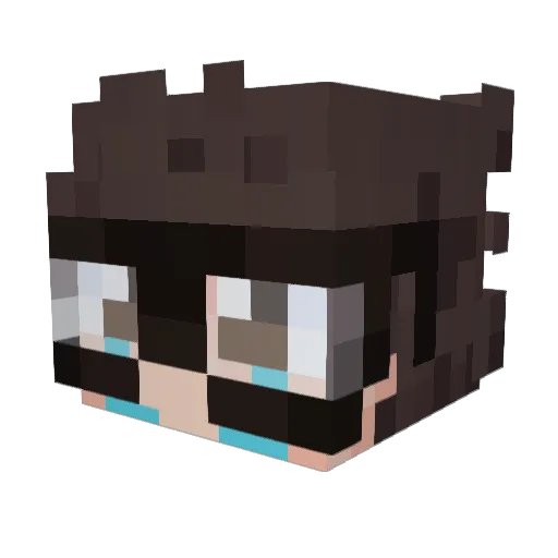 Ricolasss Minecraft avatar head, 3D render