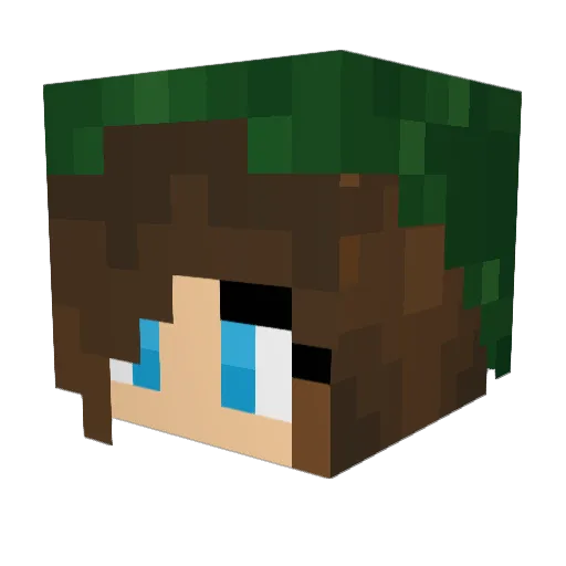 Riddance_7 Minecraft avatar head, 3D render
