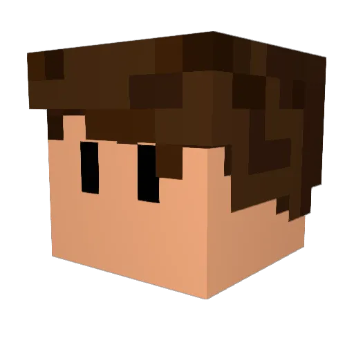 Riddl3 Minecraft avatar head, 3D render