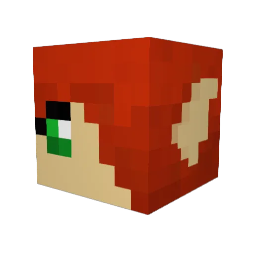 RiddleMeDoo Minecraft avatar head, 3D render