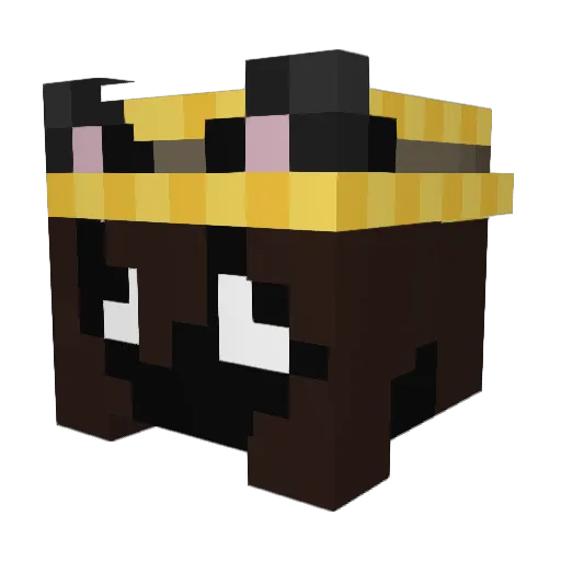 RiddledQuasar33 Minecraft avatar head, 3D render