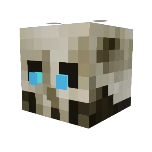 RiddlesDark Minecraft avatar head, 3D render