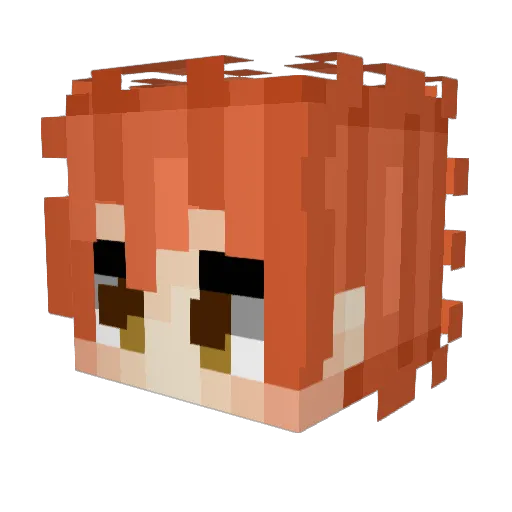 Rider1170 Minecraft avatar head, 3D render