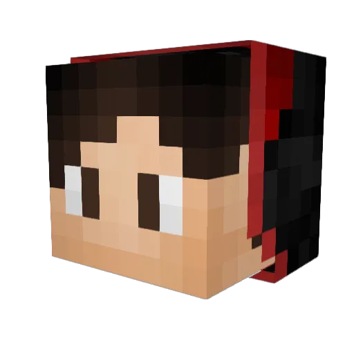 RiderRonin Minecraft avatar head, 3D render