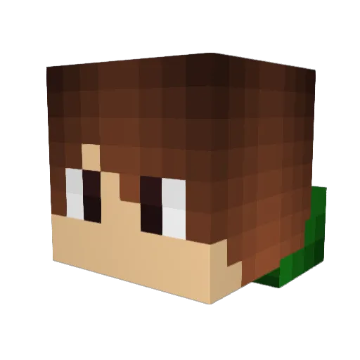 Rider_the_games Minecraft avatar head, 3D render