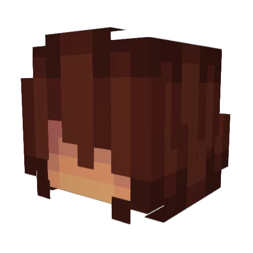 Ridere1v Minecraft avatar head, 3D render