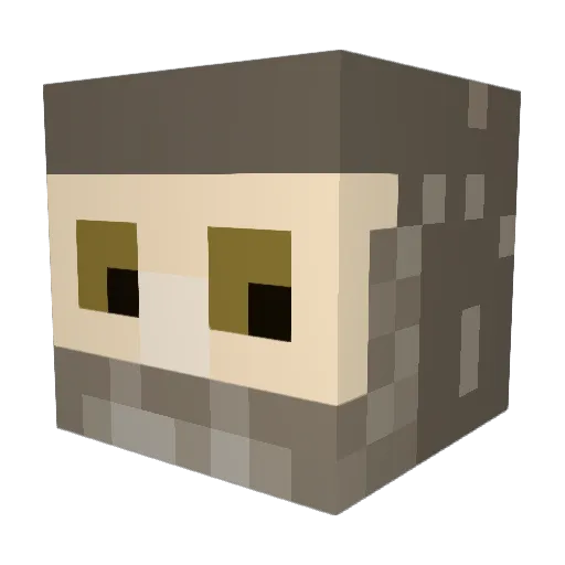 Riderpride639 Minecraft avatar head, 3D render