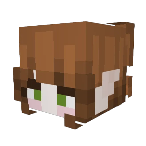 Ridestaff Minecraft avatar head, 3D render