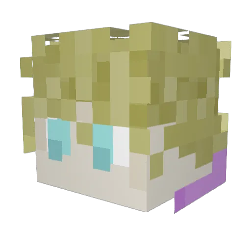 Ridge_F Minecraft avatar head, 3D render