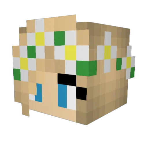 Ridgebacklover89 Minecraft avatar head, 3D render