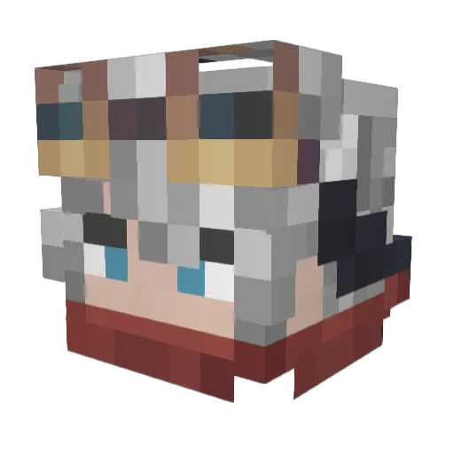 Ridget_ Minecraft avatar head, 3D render