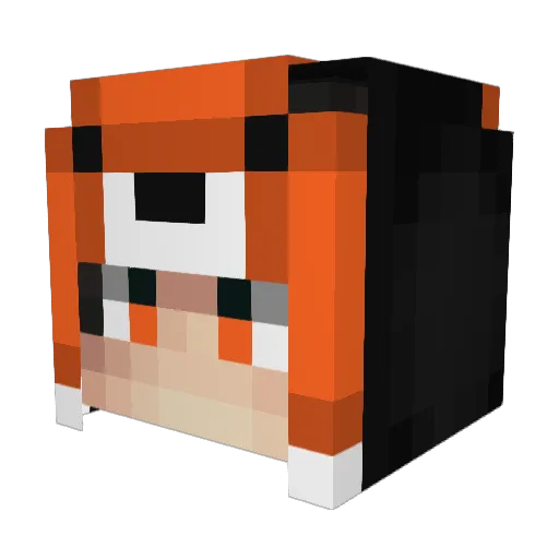 Ridhz Minecraft avatar head, 3D render