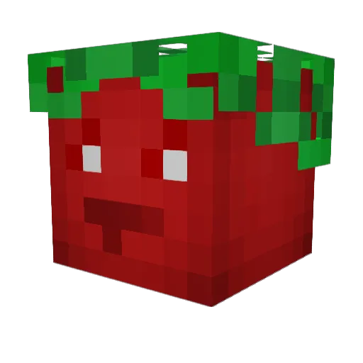 Ridikas Minecraft avatar head, 3D render