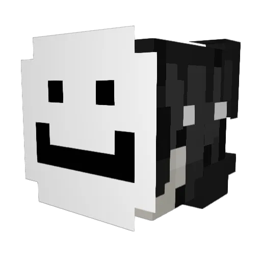 Ridous69 Minecraft avatar head, 3D render