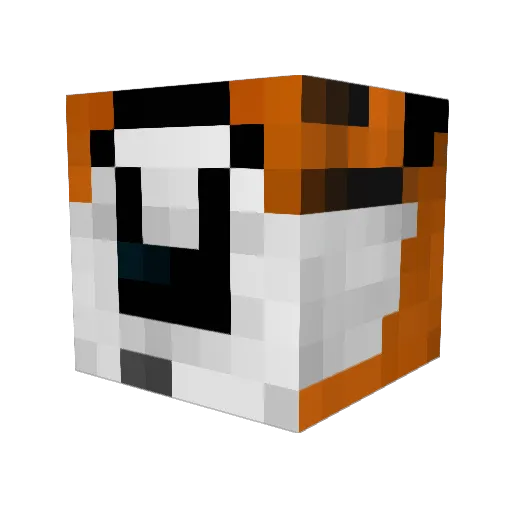 Ridu27 Minecraft avatar head, 3D render
