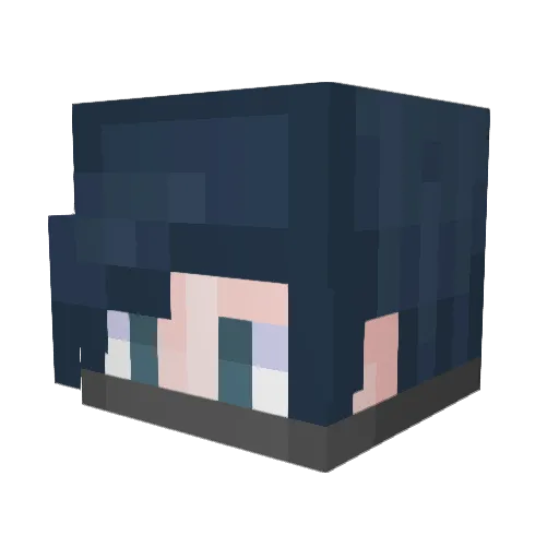 Ridwell Minecraft avatar head, 3D render