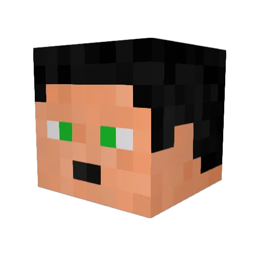 Ridzyy Minecraft avatar head, 3D render