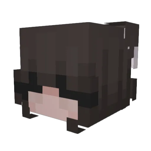 Rieah Minecraft avatar head, 3D render