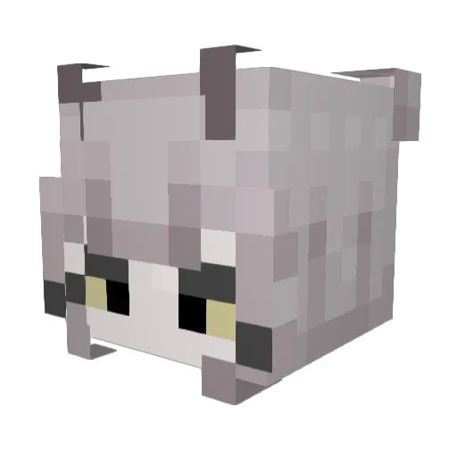 Riebread89 Minecraft avatar head, 3D render
