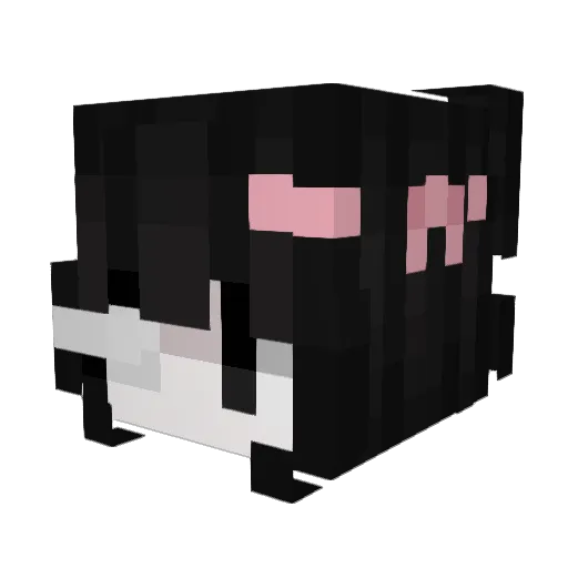 Rielo Minecraft avatar head, 3D render