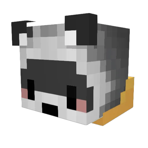 RienRacc Minecraft avatar head, 3D render
