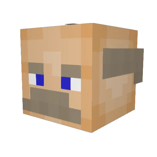 Rieno911 Minecraft avatar head, 3D render