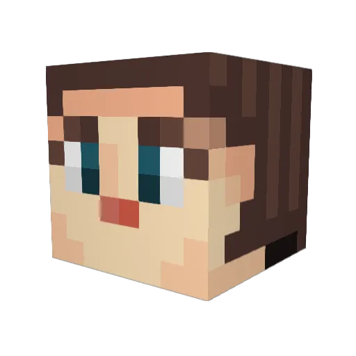 RiesenPP Minecraft avatar head, 3D render